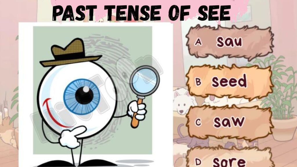 Past tense of see