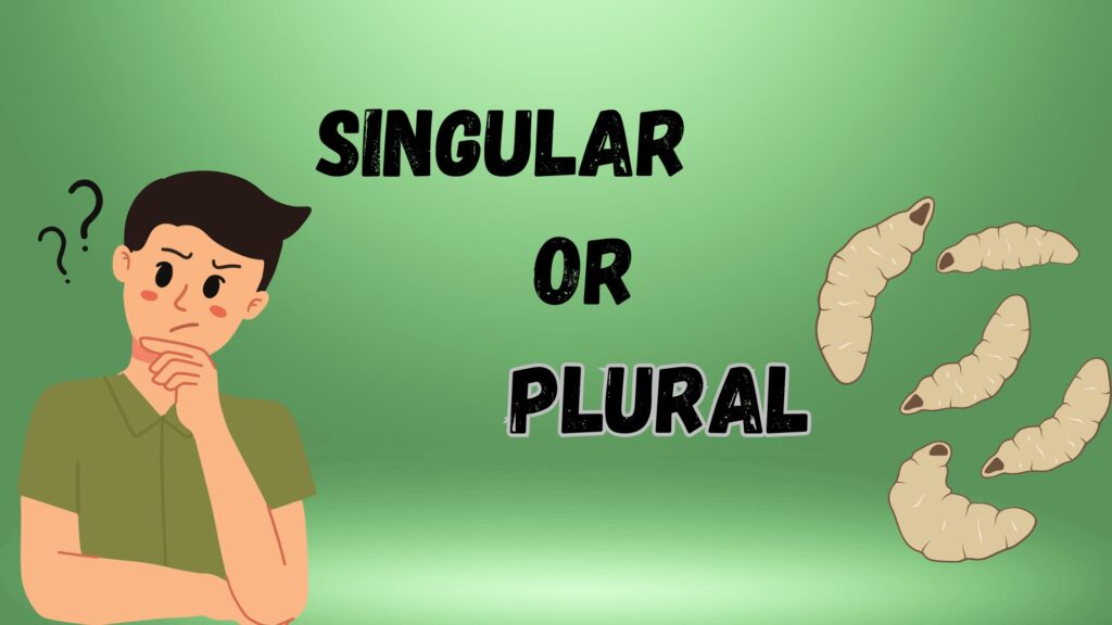 Plural of larva