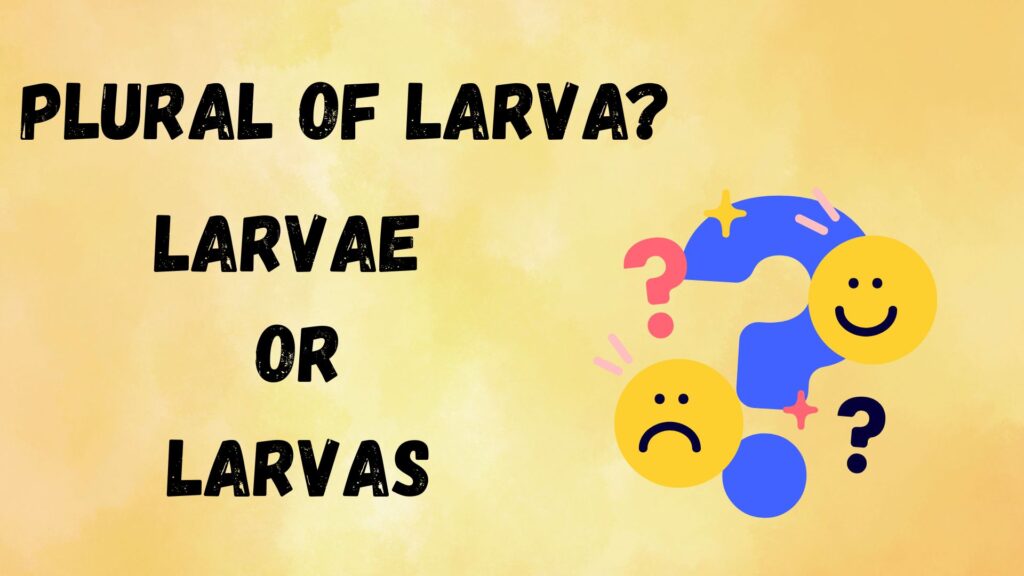 Plural of Larva