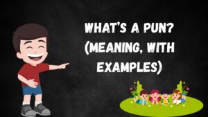Meaning of pun