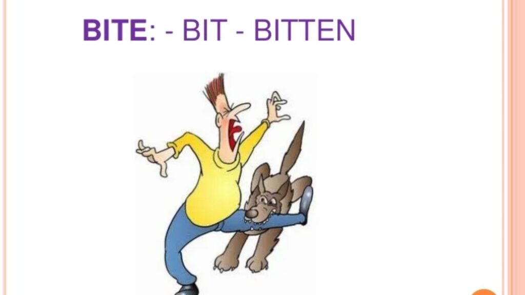 Bit or Bitten