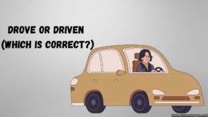 Drove or Driven