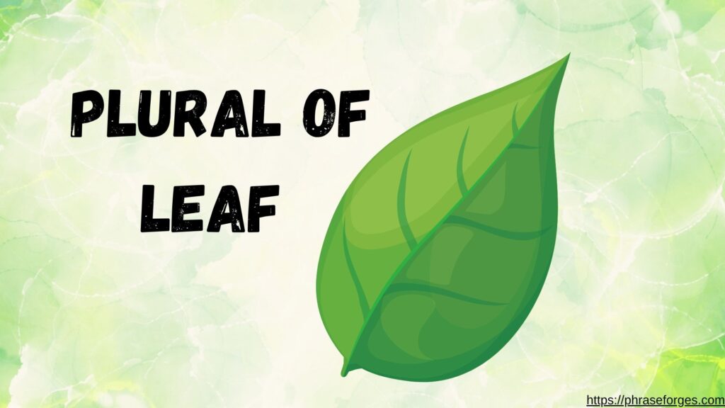 Leaf Plural