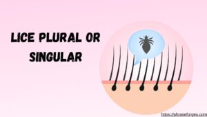 Lice Plural or Singular