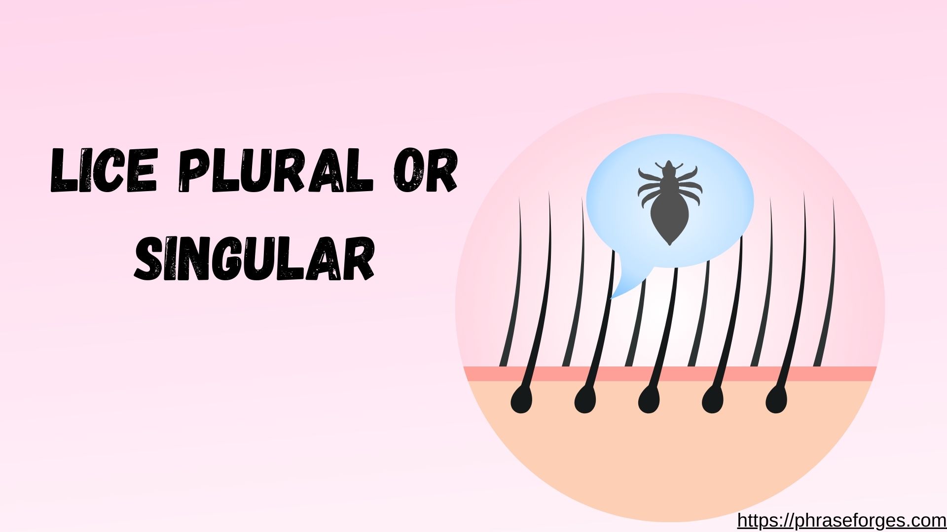 Lice Plural or Singular