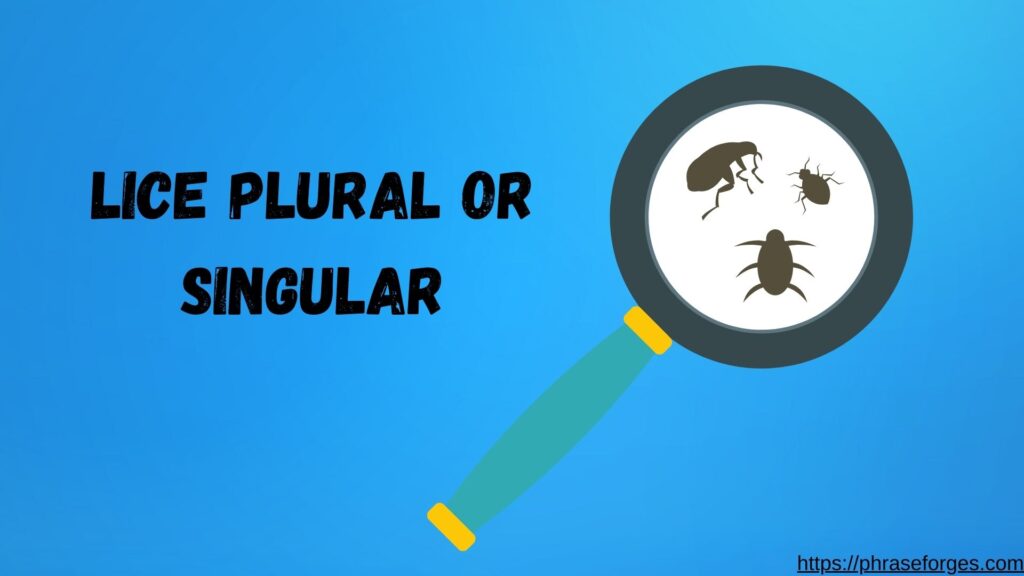 Lice Plural or Singular