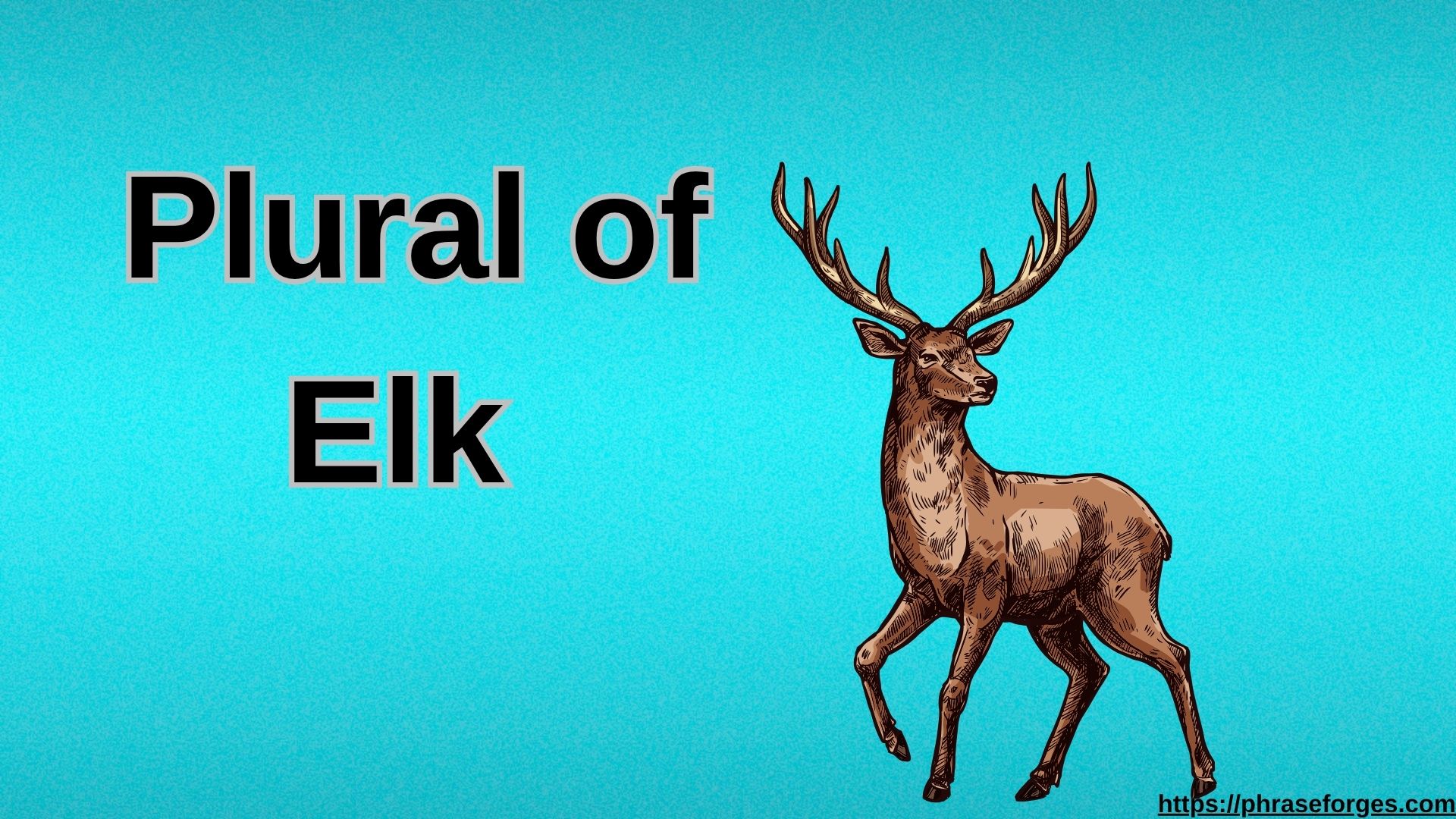 Plural of Elk