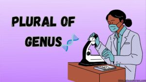 Plural of Genus