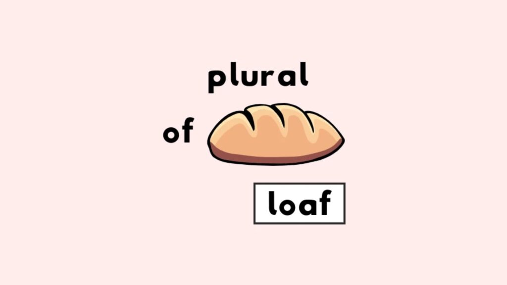 Plural of Loaf