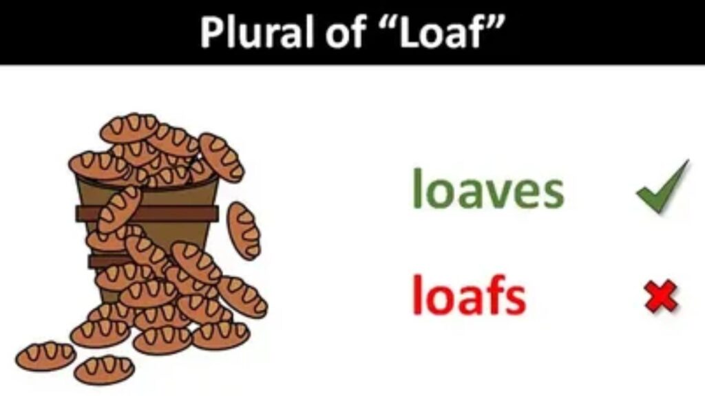 Plural of Loaf