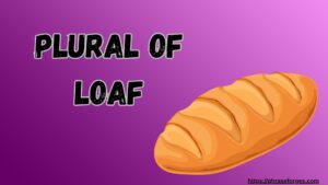 Plural of Loaf