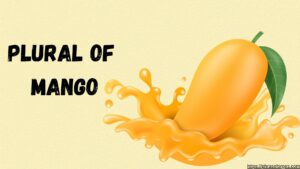 Plural of Mango