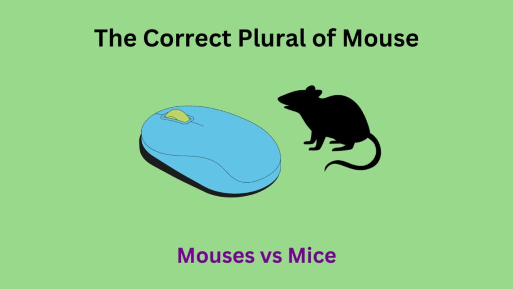 Plural of Mouse