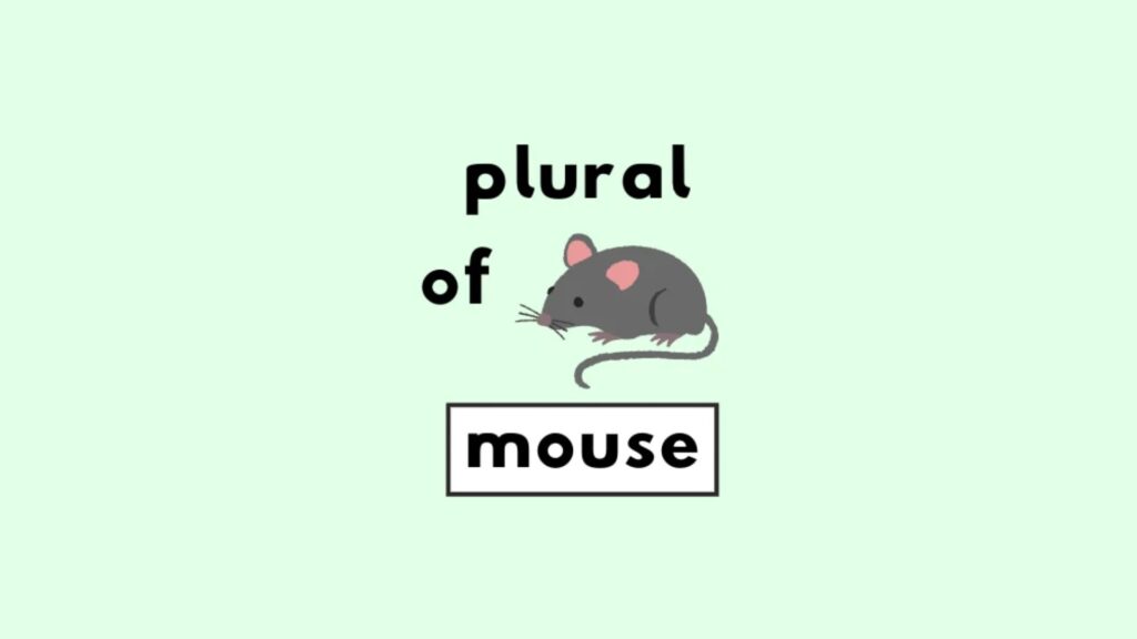 Plural of Mouse