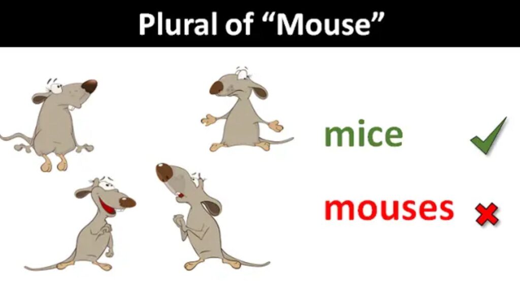 Plural of Mouse
