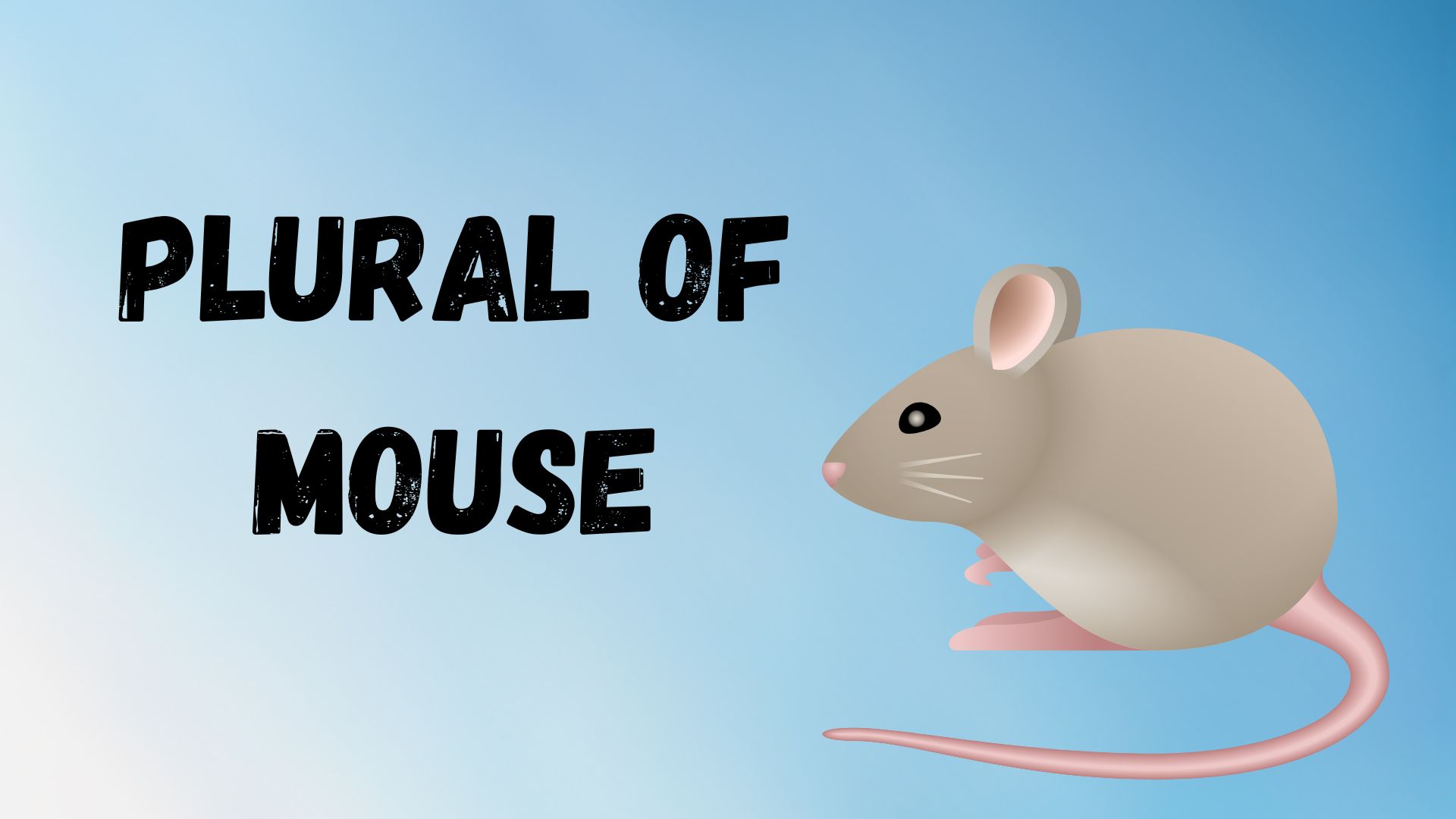Plural of Mouse