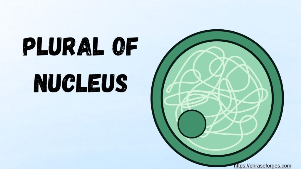 Plural of Nucleus