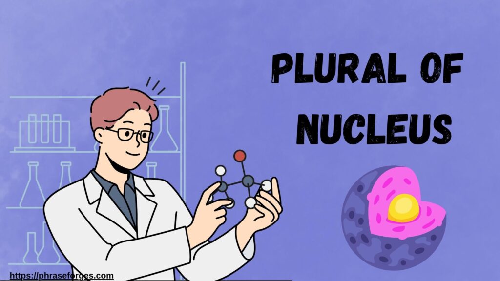 Plural of Nucleus