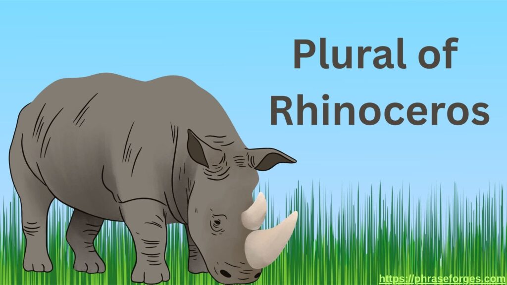 Plural of Rhinoceros