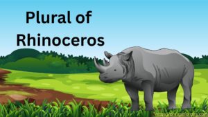 Plural of Rhinoceros