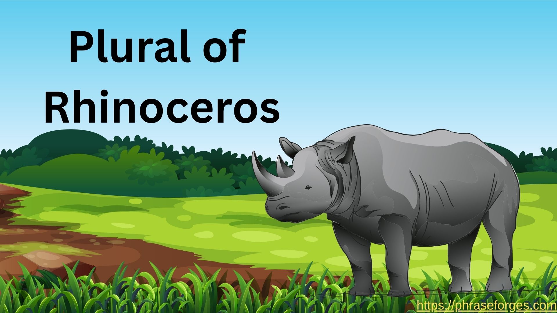Plural of Rhinoceros
