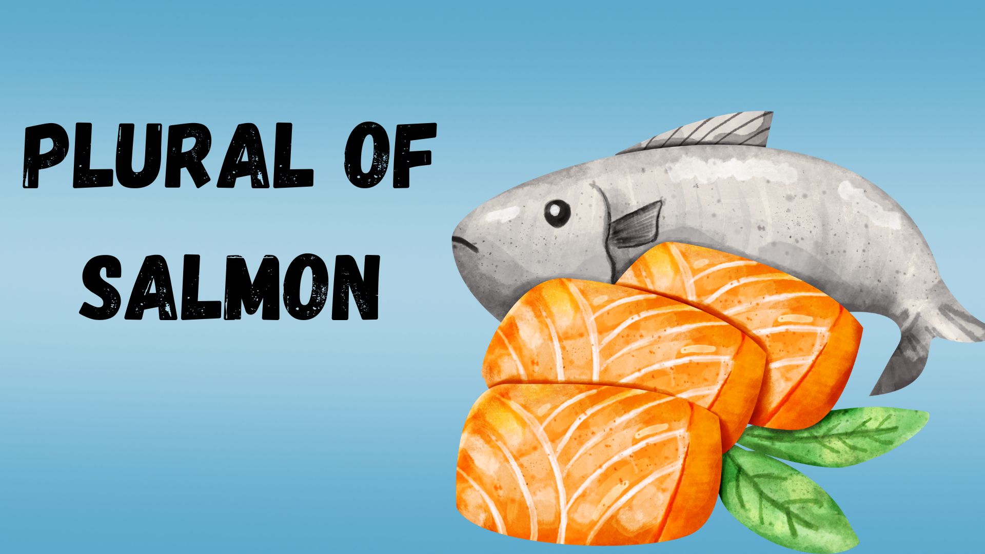 Plural of Salmon