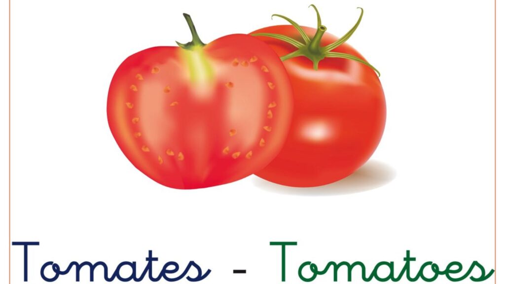 Plural of Tomato