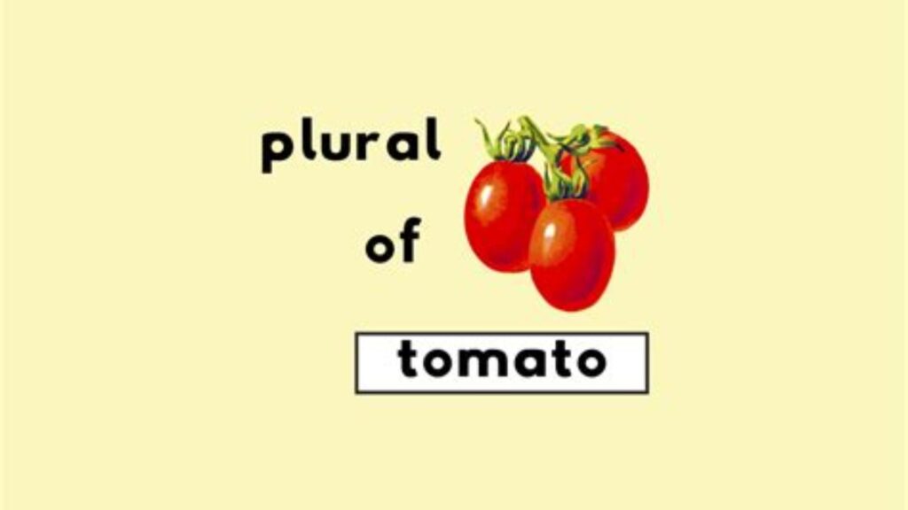 Plural of Tomato
