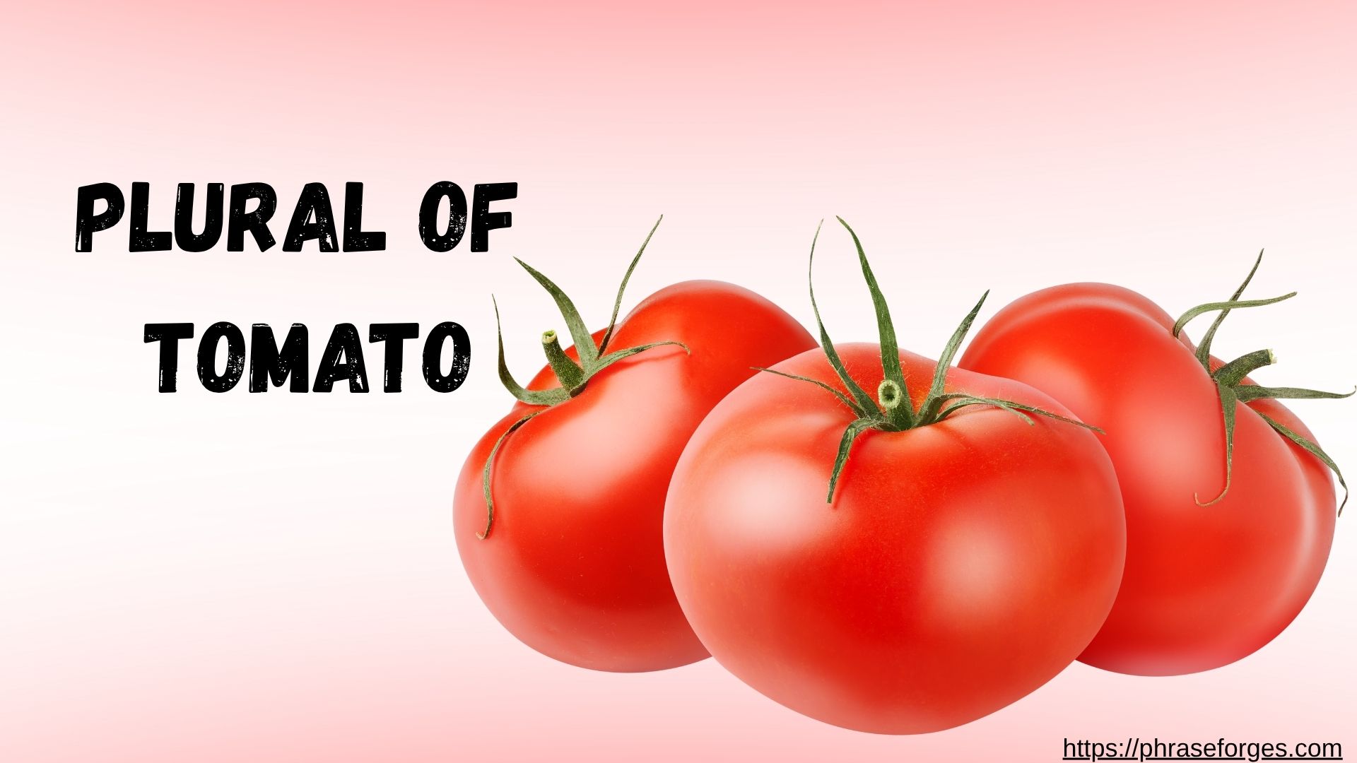 Plural of Tomato