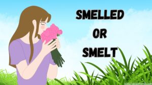 Smelled or Smelt