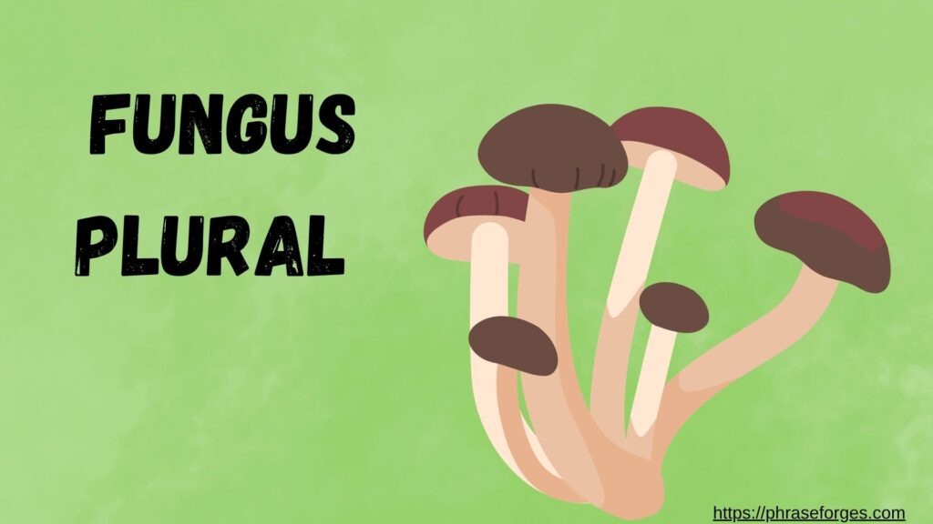 Fungus Plural 