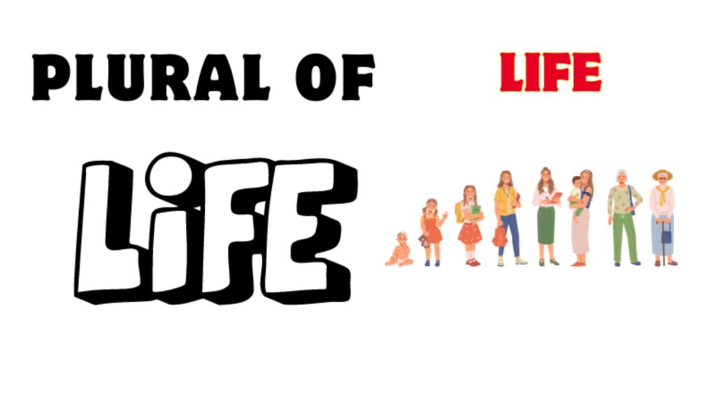 Plural of Life