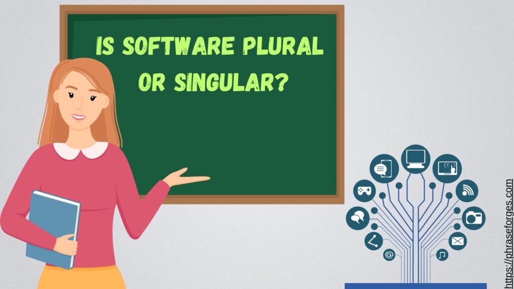 Plural of Software