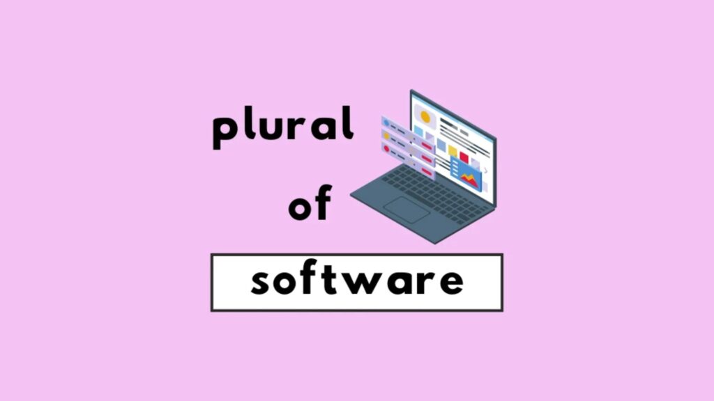 Plural of Software