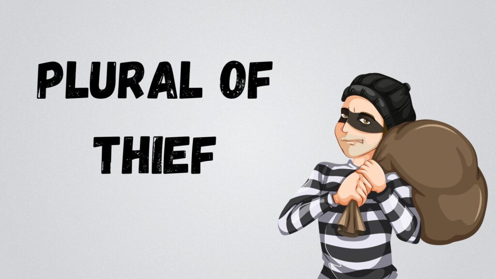 Plural of Thief