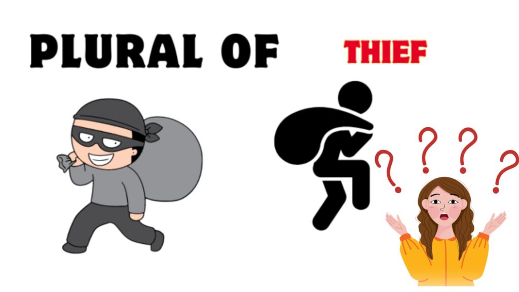 Plural of Thief