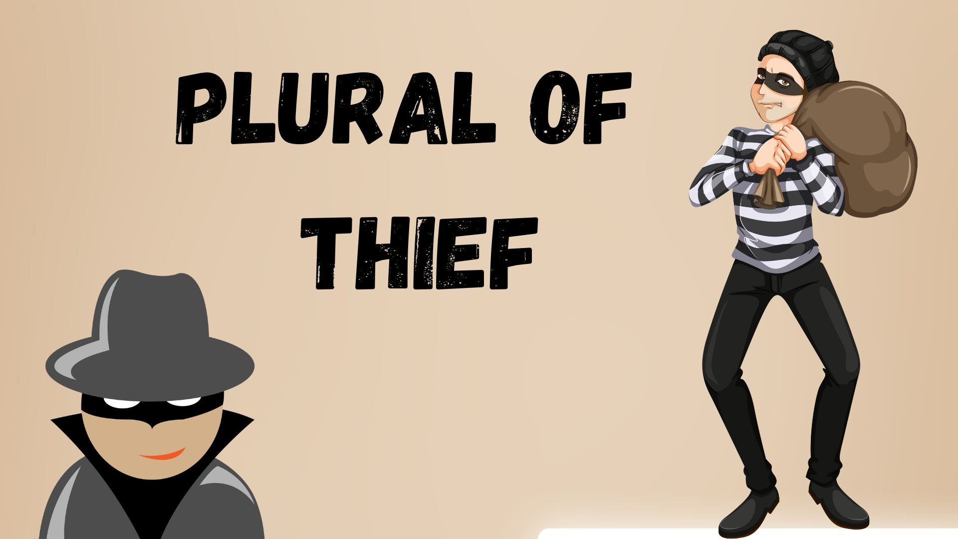 Plural of Thief