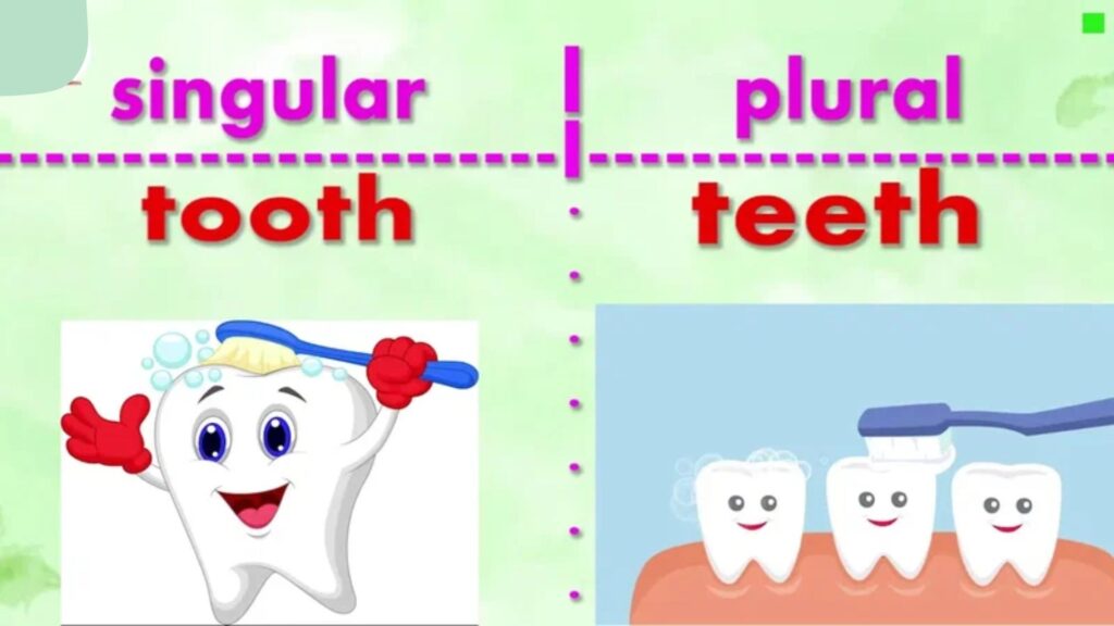 Plural of Tooth