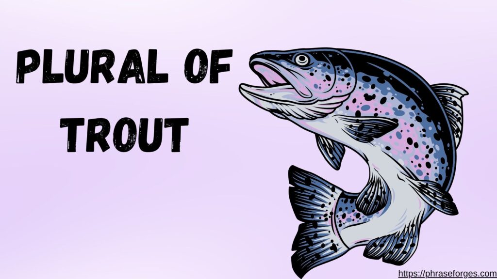 Plural of Trout