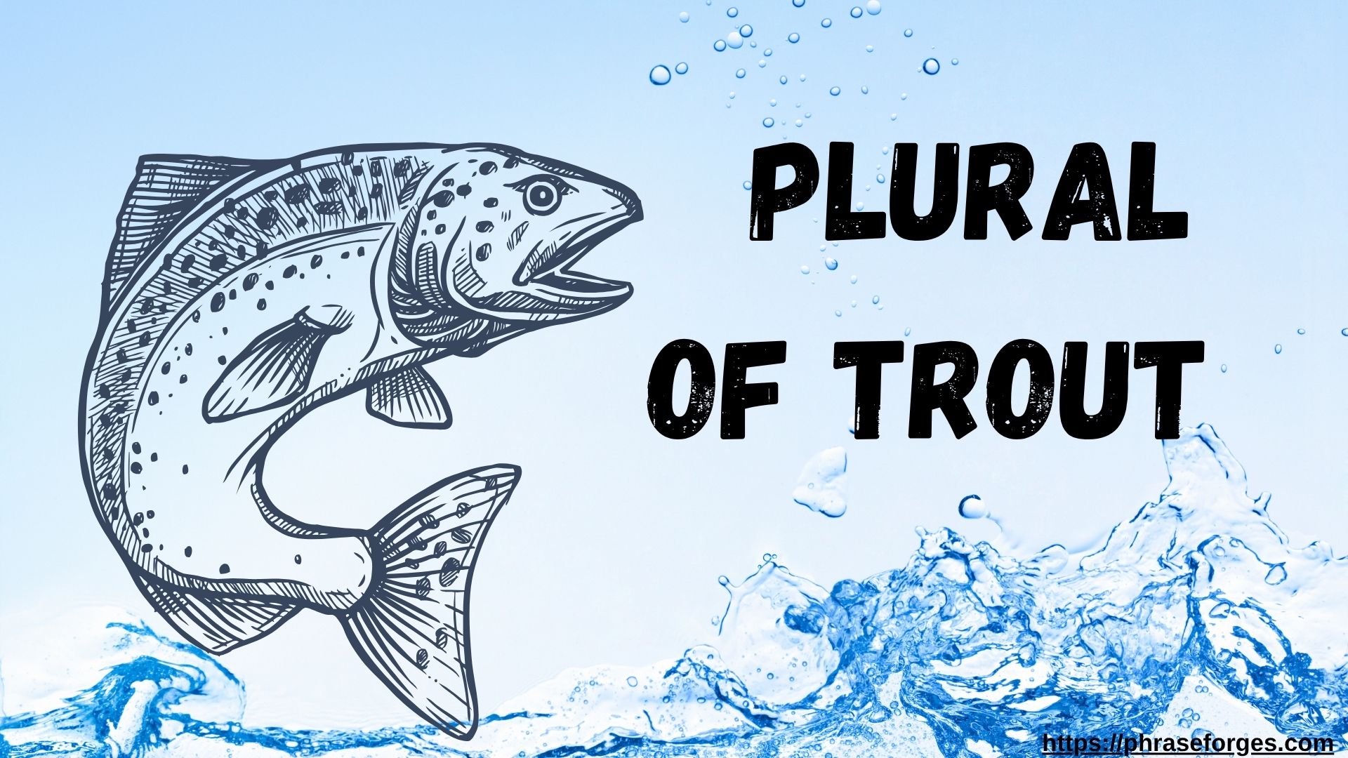 Plural of Trout