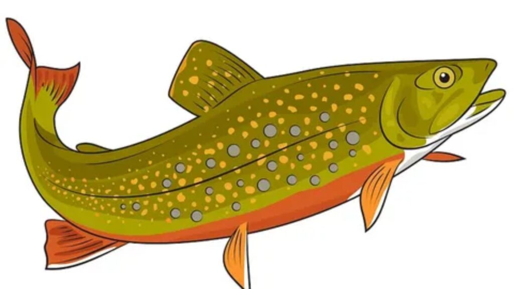 Plural of Trout