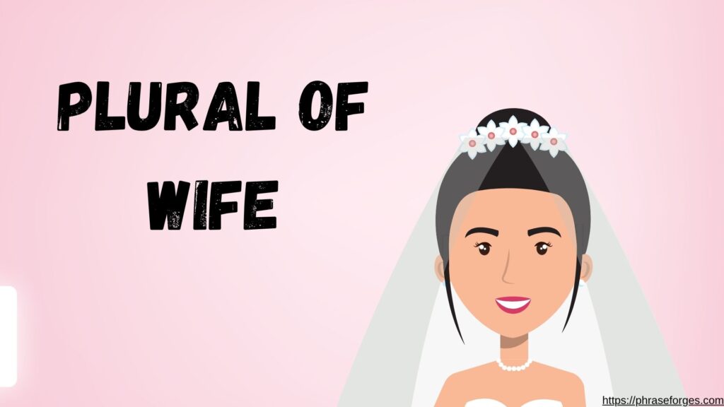 Plural of Wife