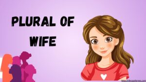 Plural of Wife