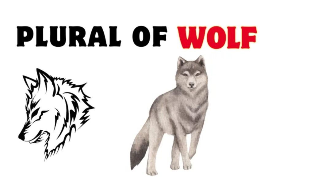 Plural of Wolf