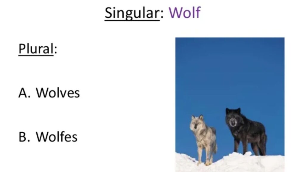 Plural of Wolf