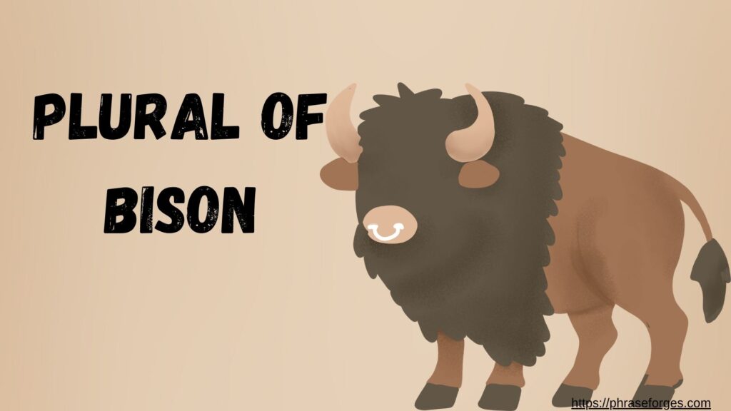 plural of bison