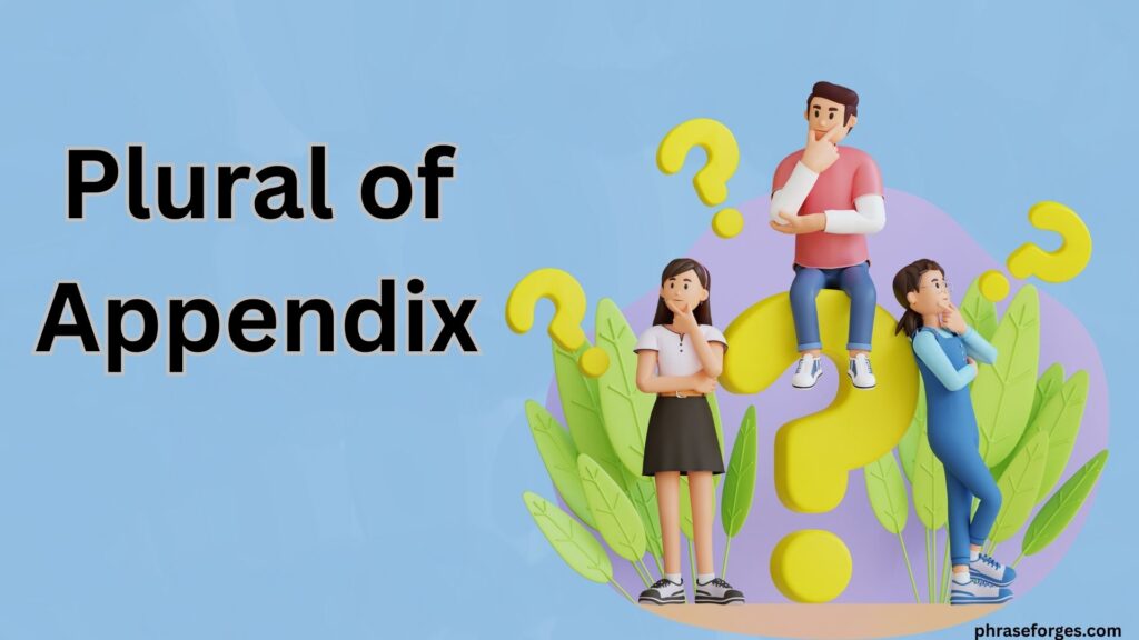 Plural of Appendix